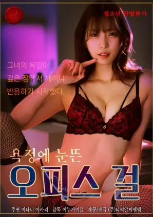 热播电视剧全集排播资讯配图